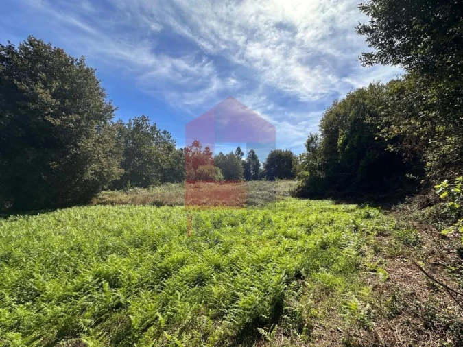 Terreno para Venda em Carreiras (São Miguel) e Carreiras (Santiago) Foto 4