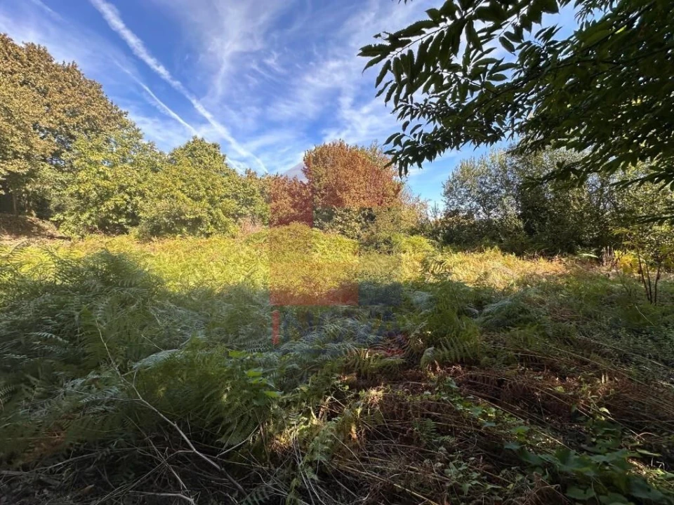 Terreno para Venda em Carreiras (São Miguel) e Carreiras (Santiago) Foto 8