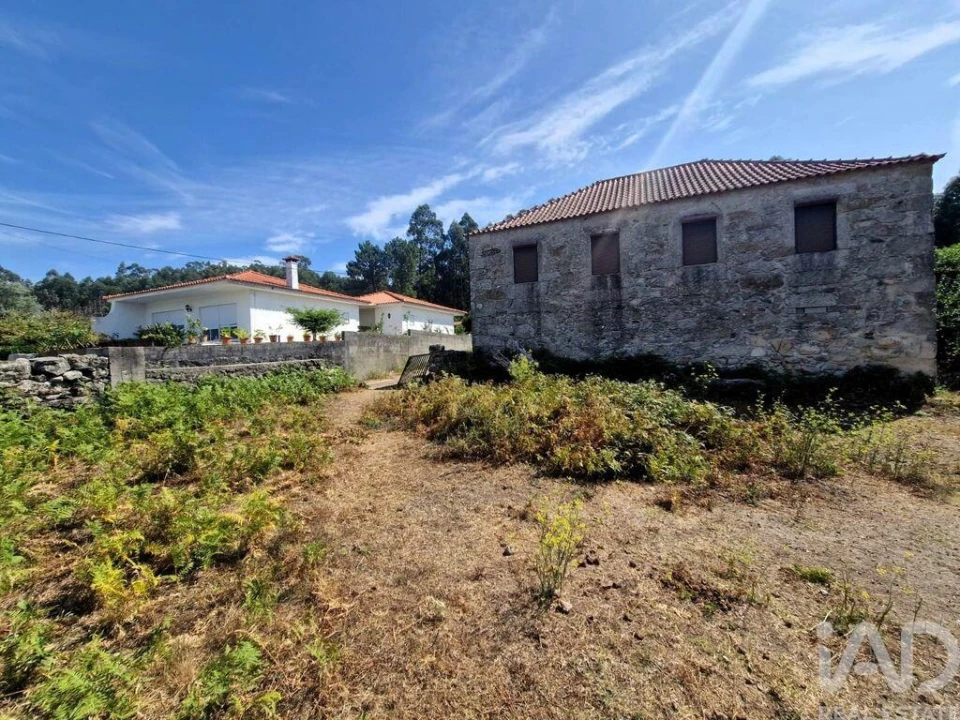 Quinta T4 para Venda em Perre Foto 18