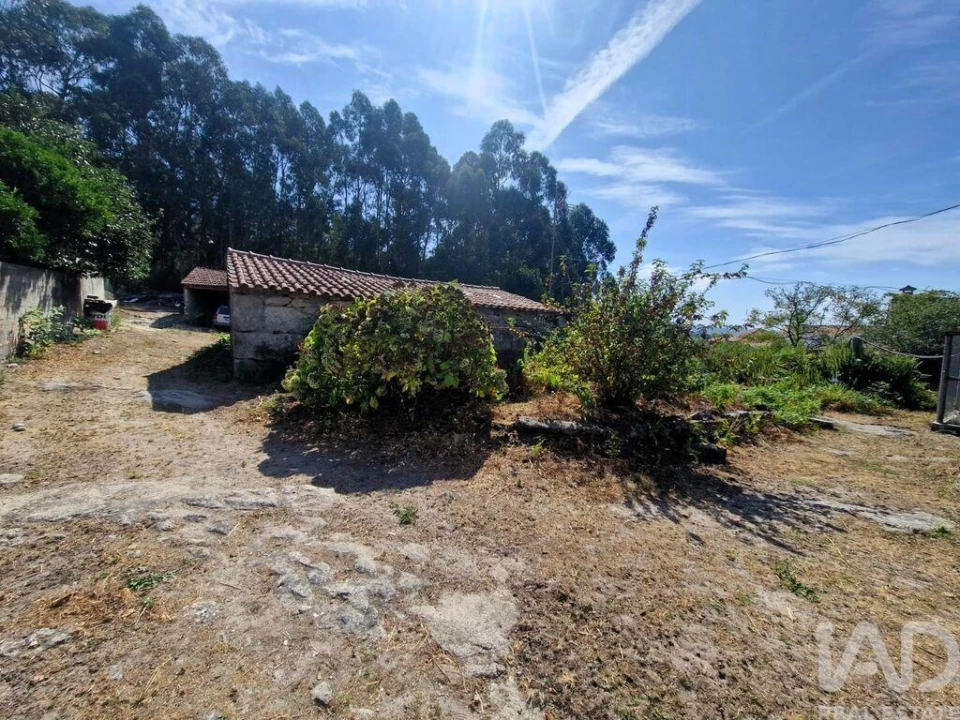 Quinta T4 para Venda em Perre Foto 19