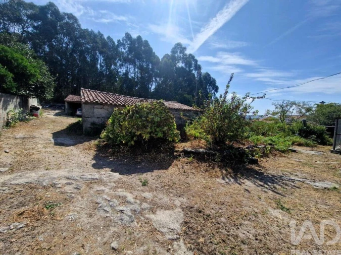 Quinta T4 para Venda em Perre Foto 19
