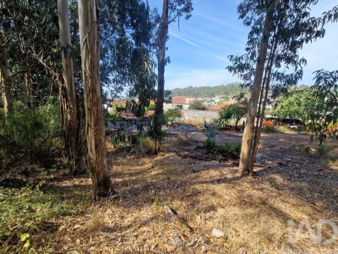 Quinta T4 para Venda em Perre Foto 22
