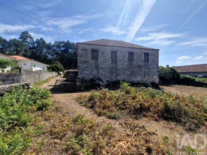 Quinta T4 para Venda em Perre Foto 23