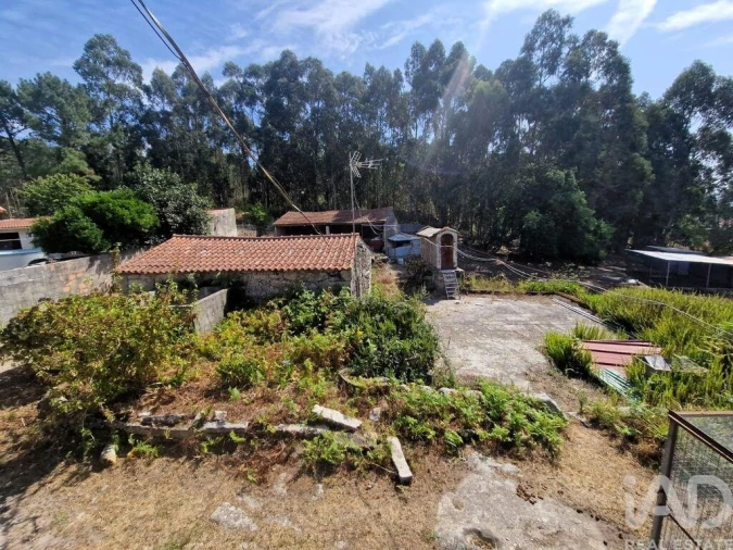 Quinta T4 para Venda em Perre Foto 20