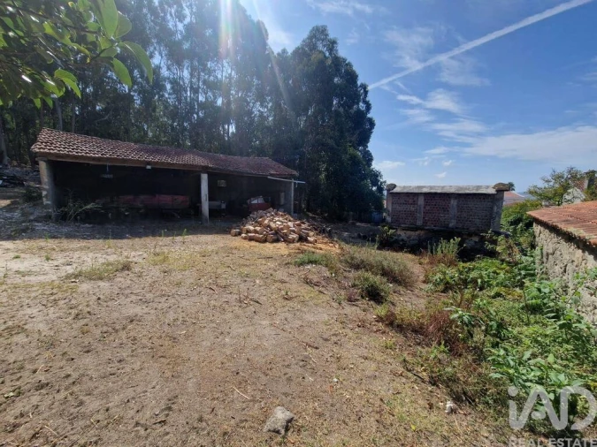 Quinta T4 para Venda em Perre Foto 11