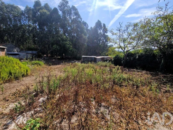 Quinta T4 para Venda em Perre Foto 16