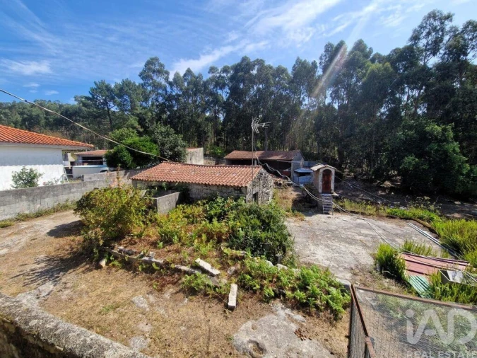Quinta T4 para Venda em Perre Foto 15