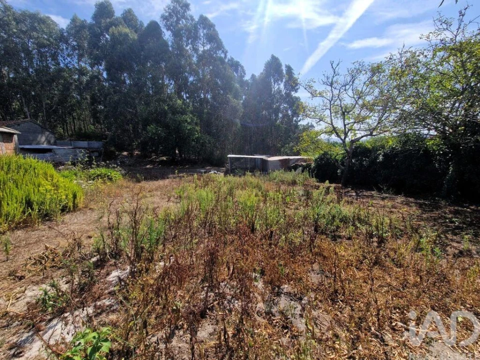 Quinta T4 para Venda em Perre Foto 16