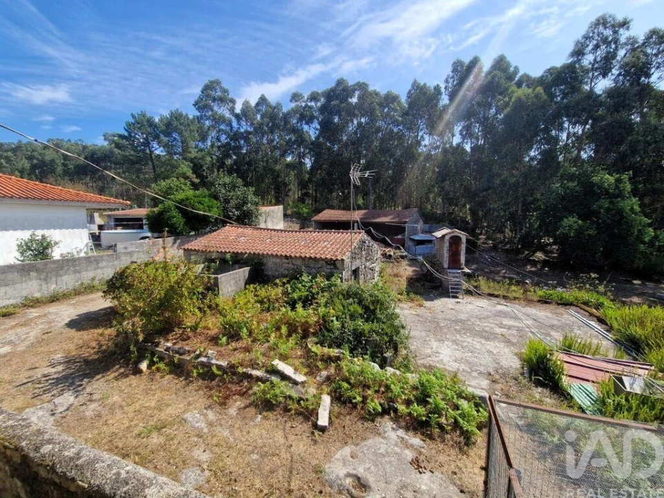 Quinta T4 para Venda em Perre Foto 15