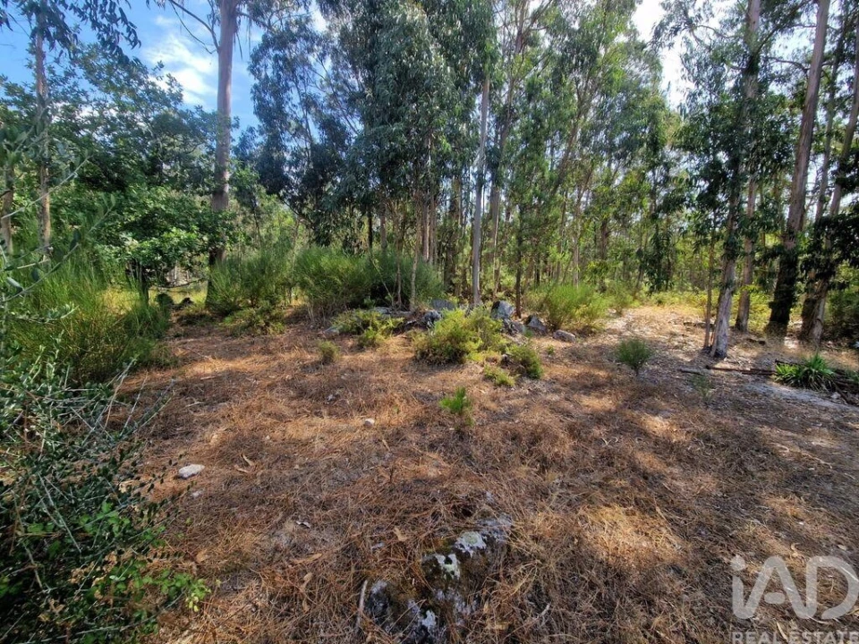 Quinta T4 para Venda em Perre Foto 12