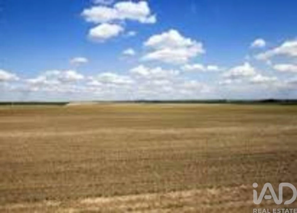 Terreno para Venda em Silgueiros Foto 1