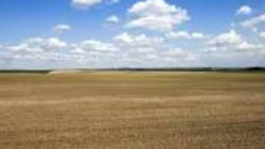 Terreno para Venda em Silgueiros