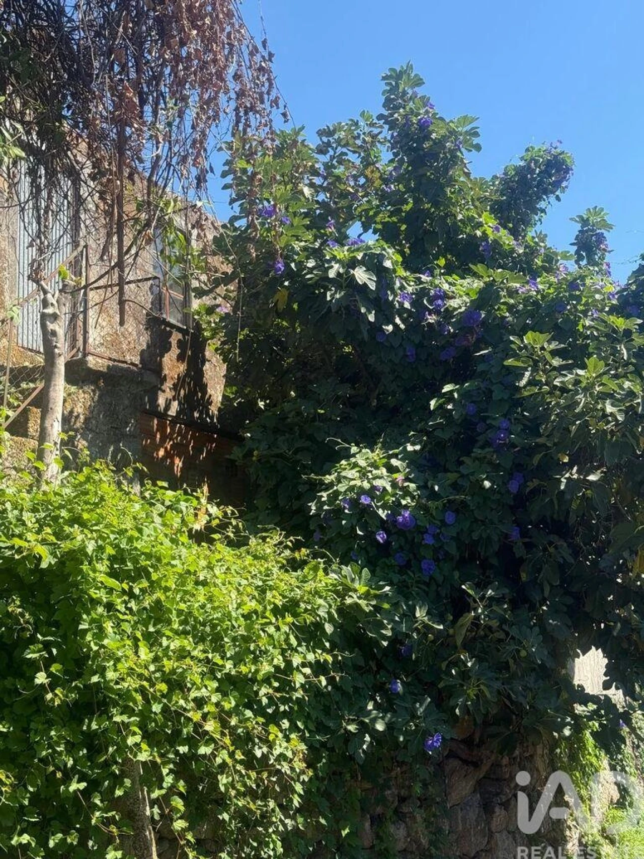 Moradia para Venda em Valadares Foto 21