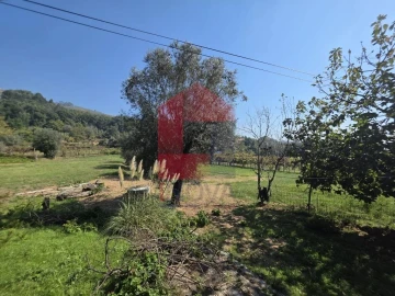Moradia T3 para Venda em Anais