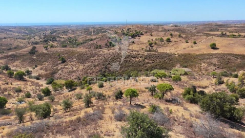 Terreno para Venda em Conceição e Cabanas de Tavira