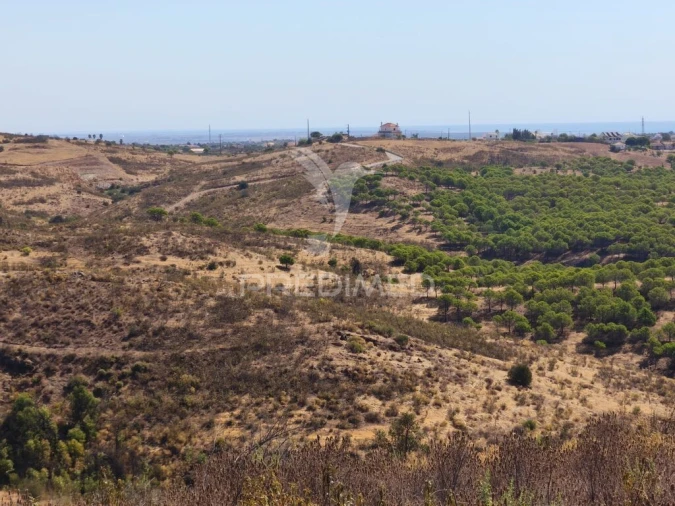 Terreno para Venda em Conceição e Cabanas de Tavira Foto 12