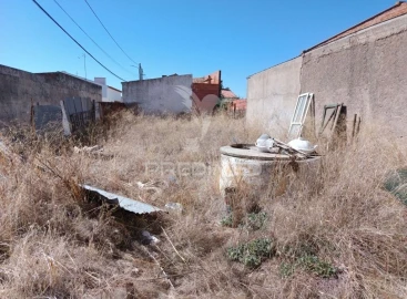 Apartamento para Venda em Montoito