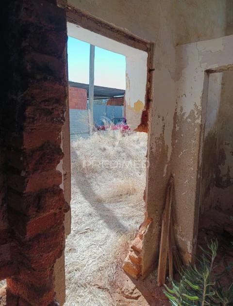 Apartamento para Venda em Montoito