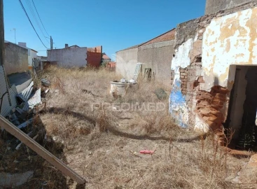 Apartamento para Venda em Montoito