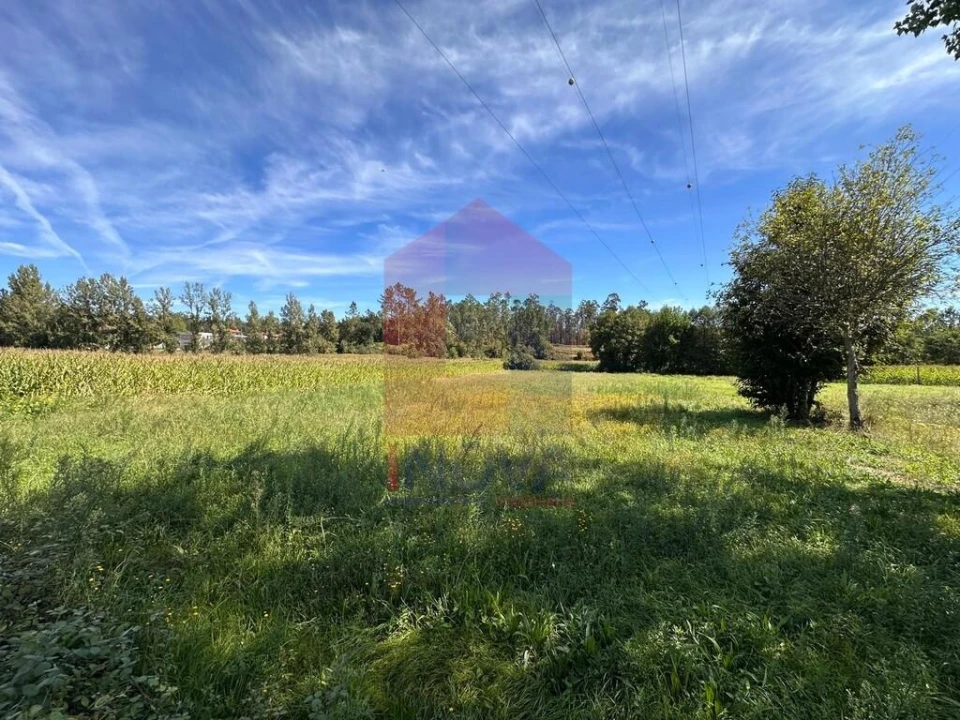 Terreno para Venda em Carreiras (São Miguel) e Carreiras (Santiago) Foto 3
