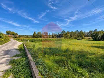 Terreno para Venda em Carreiras (São Miguel) e Carreiras (Santiago)