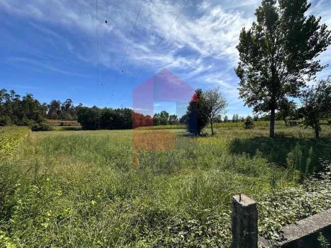 Terreno para Venda em Carreiras (São Miguel) e Carreiras (Santiago) Foto 8