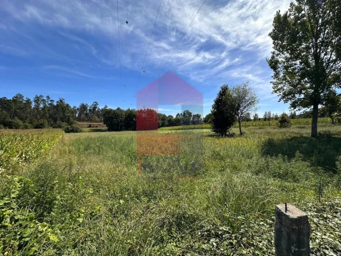 Terreno para Venda em Carreiras (São Miguel) e Carreiras (Santiago) Foto 5