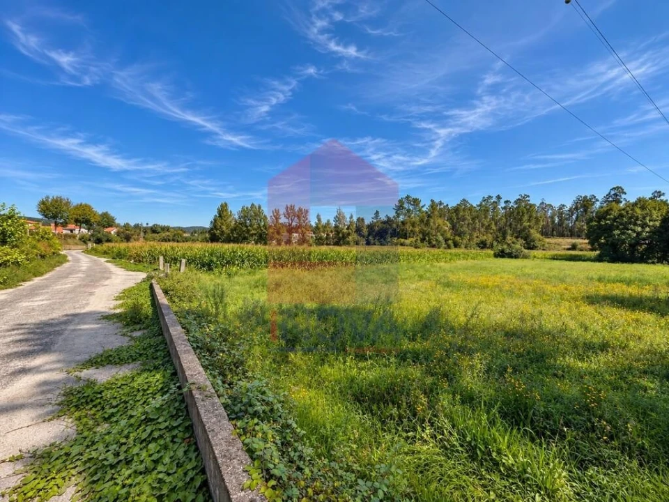 Terreno para Venda em Carreiras (São Miguel) e Carreiras (Santiago) Foto 1
