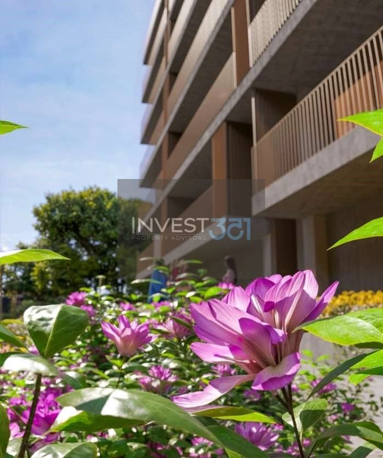 Apartamento T2 para Venda em Oliveira do Douro Foto 7