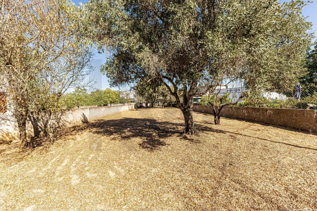 Moradia T2 para Venda em Silves Foto 19