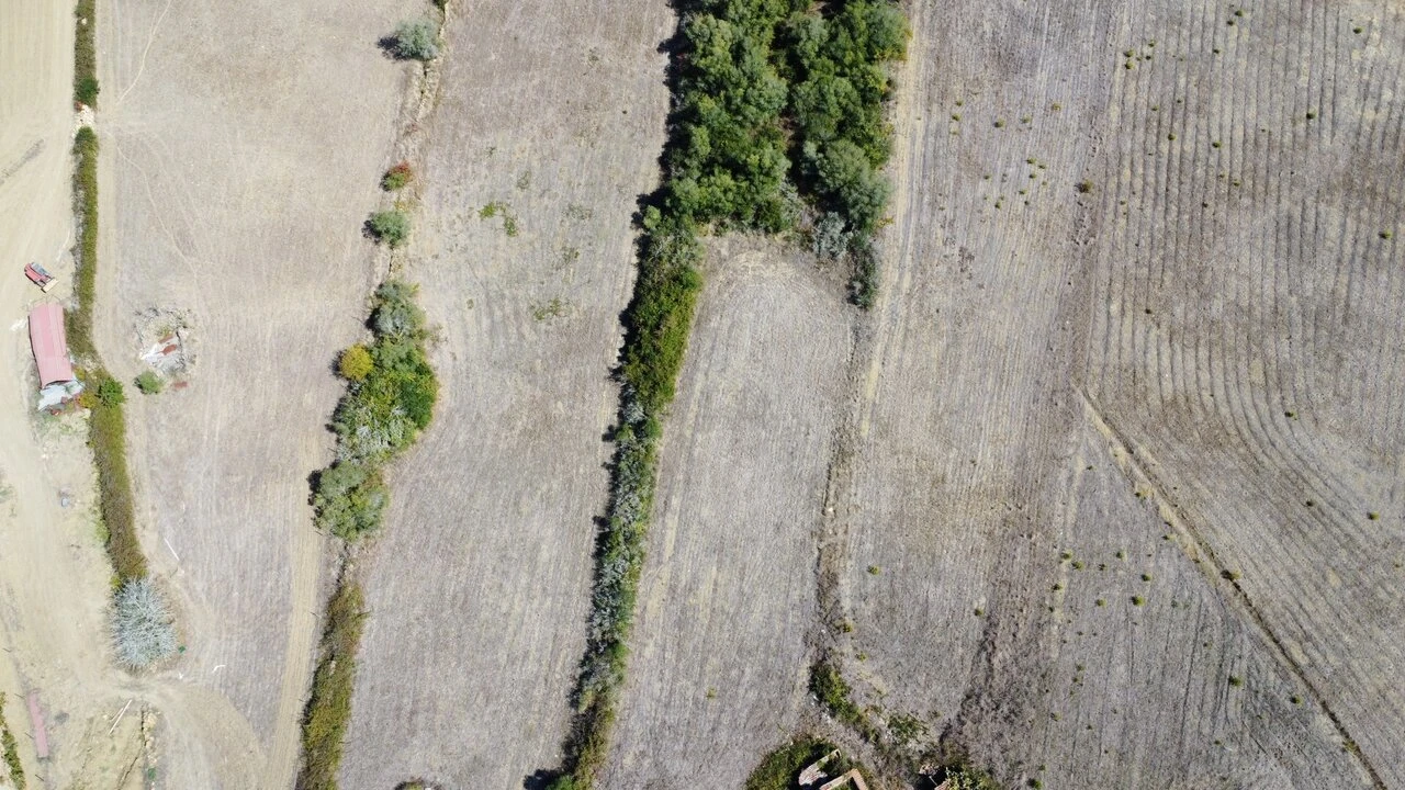Terreno para Venda em Ericeira Foto 12