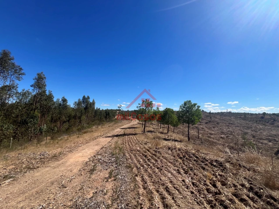 Terreno Agricola ou Rústico para Venda em Alcórrego e Maranhão Foto 1