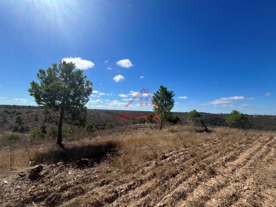 Terreno Agricola ou Rústico para Venda em Alcórrego e Maranhão Foto 6