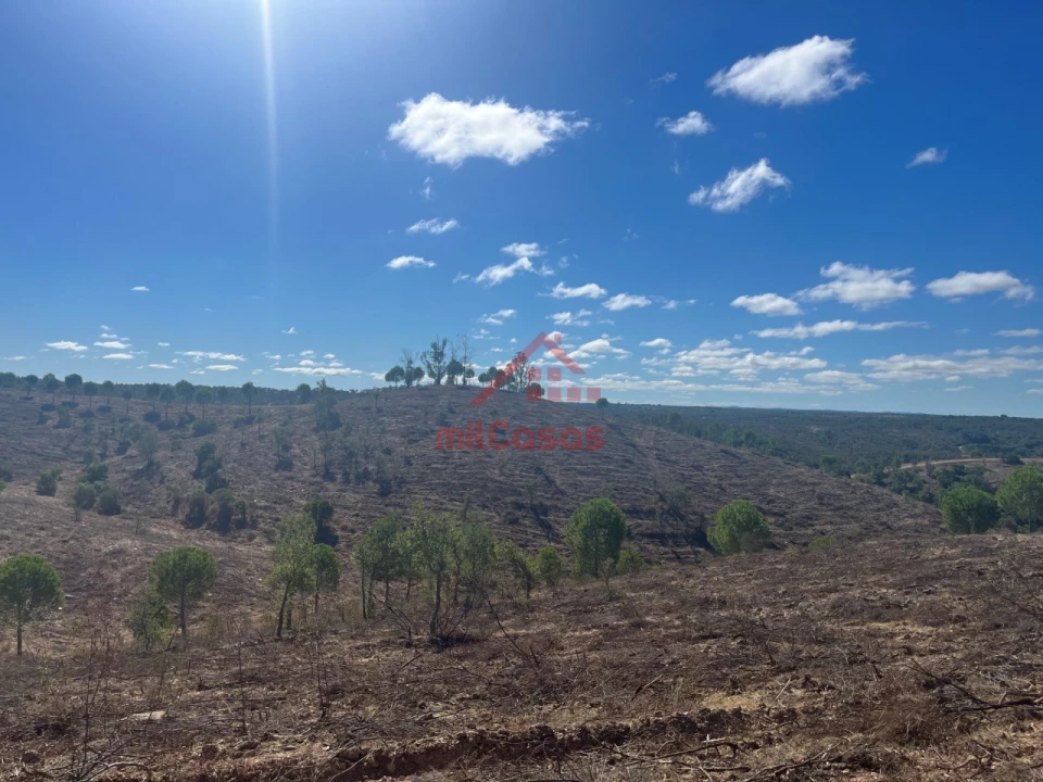 Terreno Agricola ou Rústico para Venda em Alcórrego e Maranhão Foto 9