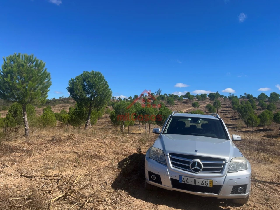 Terreno Agricola ou Rústico para Venda em Alcórrego e Maranhão Foto 12