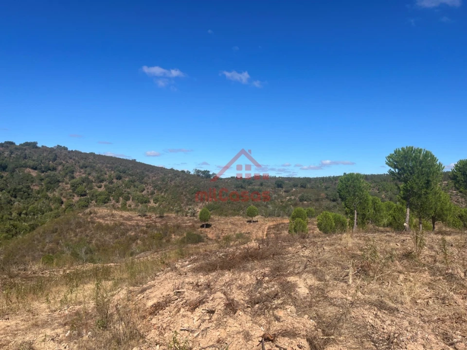 Terreno Agricola ou Rústico para Venda em Alcórrego e Maranhão Foto 13