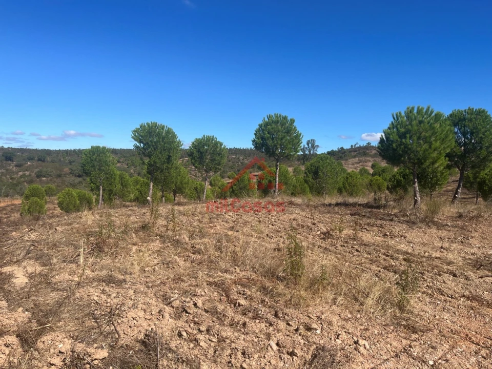 Terreno Agricola ou Rústico para Venda em Alcórrego e Maranhão Foto 14