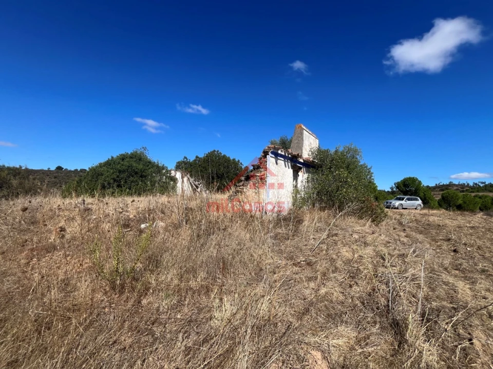 Terreno Agricola ou Rústico para Venda em Alcórrego e Maranhão Foto 15