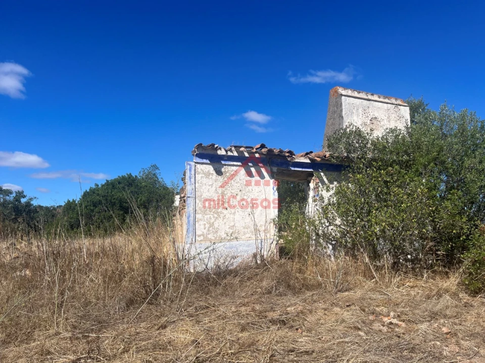 Terreno Agricola ou Rústico para Venda em Alcórrego e Maranhão Foto 18
