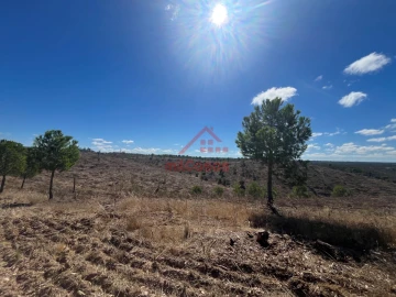 Terreno Agricola ou Rústico para Venda em Alcórrego e Maranhão