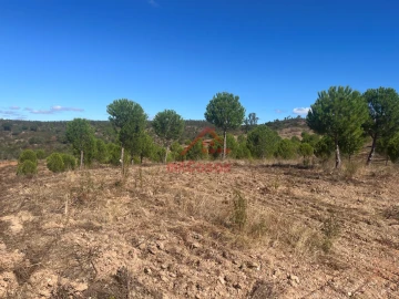 Terreno Agricola ou Rústico para Venda em Alcórrego e Maranhão
