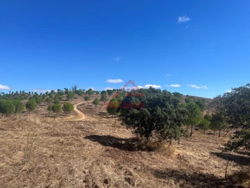 Terreno Agricola ou Rústico para Venda em Alcórrego e Maranhão
