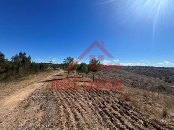 Terreno Agricola ou Rústico para Venda em Alcórrego e Maranhão