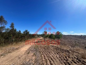 Terreno Agricola ou Rústico para Venda em Alcórrego e Maranhão