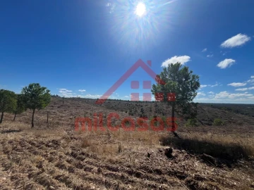 Terreno Agricola ou Rústico para Venda em Alcórrego e Maranhão