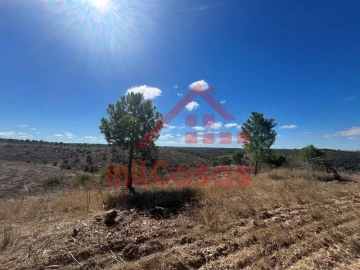 Terreno Agricola ou Rústico para Venda em Alcórrego e Maranhão