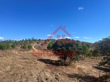 Terreno Agricola ou Rústico para Venda em Alcórrego e Maranhão