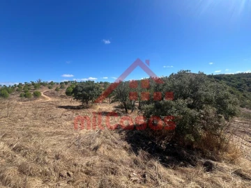 Terreno Agricola ou Rústico para Venda em Alcórrego e Maranhão