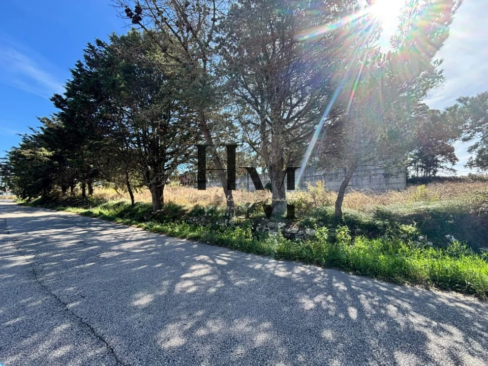 Terreno para Venda em Santa Maria e São Miguel, São Martinho, São Pedro Penaferrim Foto 3