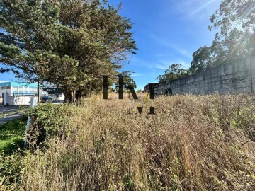 Terreno para Venda em Santa Maria e São Miguel, São Martinho, São Pedro Penaferrim